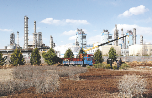 鱼丸森林舞会游戏截图